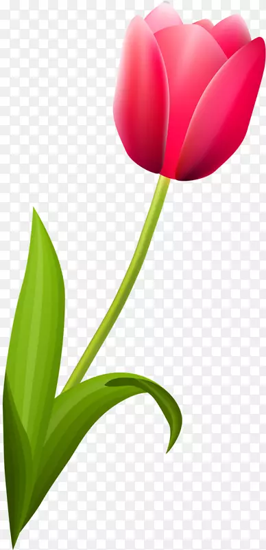 ����ֲ��������ٺϿ�������-������