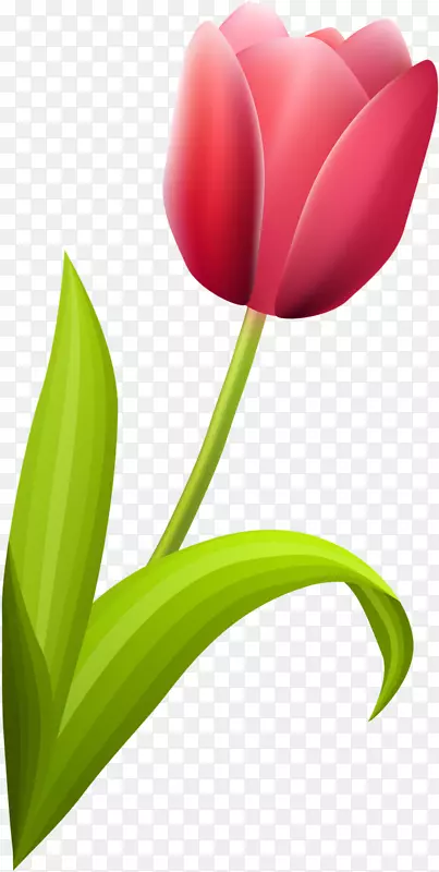 ����ֲ��������ٺϿ�������-������