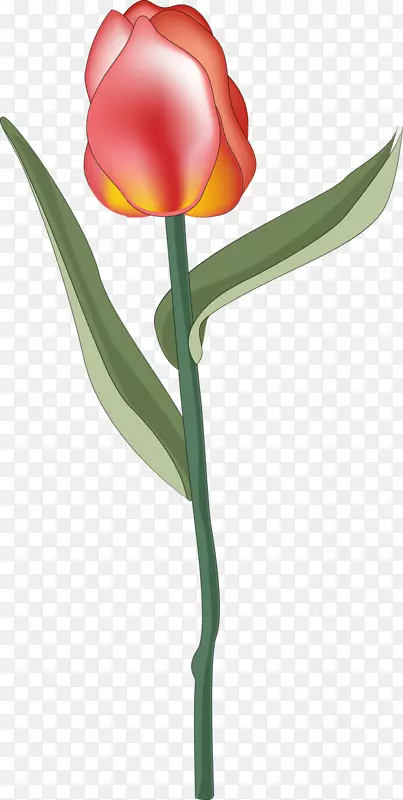 ����ֲ���л�������-������