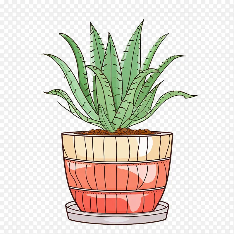 «��-«��-������