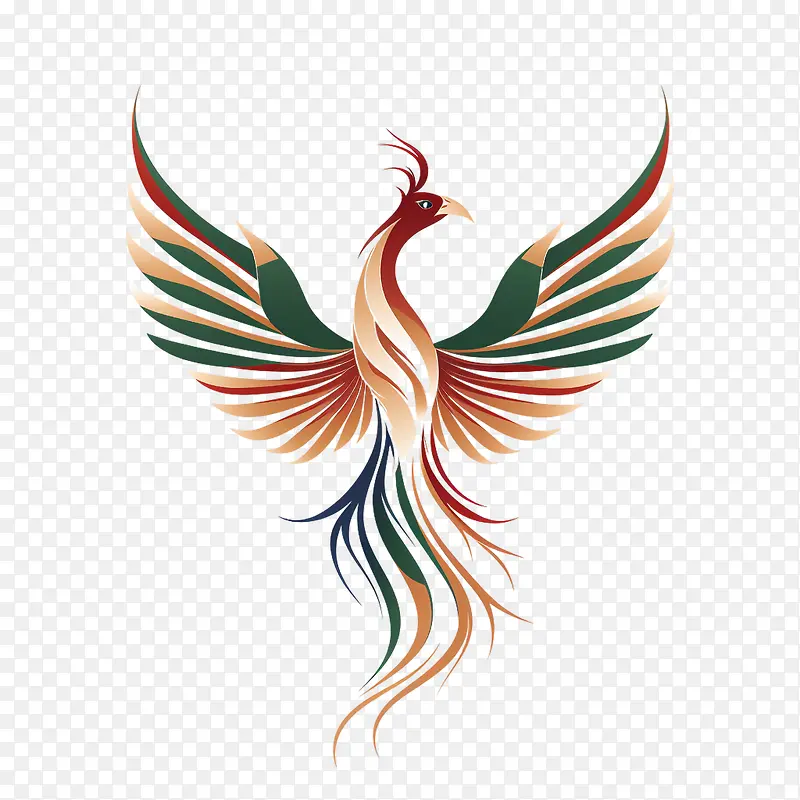 �����߹�-���-������