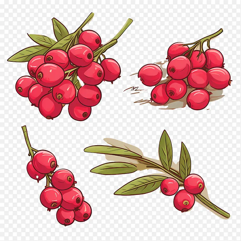 ��Խݮ-��ԽݮԽ�ٳ��츲���Ӻ츲����ˮ��-������