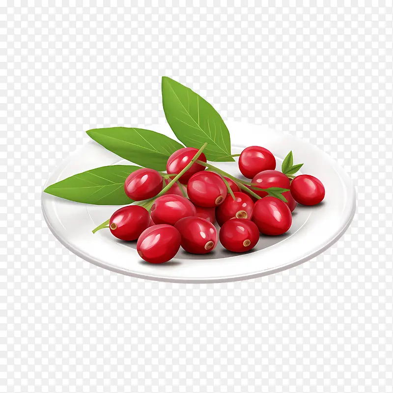 ����Խݮ-����ʳƷ-������