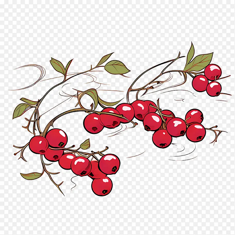 ����Խݮ-����Խݮ������֦ˮ��ˮ��-������