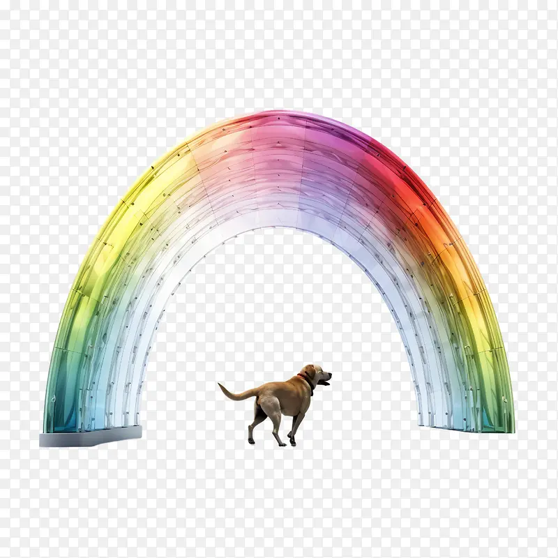 �ʺ��ż�����-�ʺ�-������