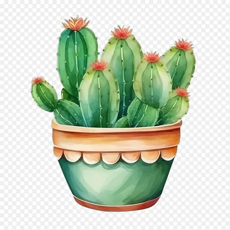 ����ֲ��-������-������