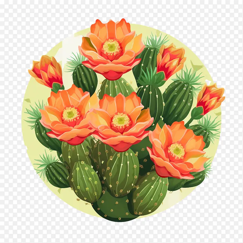 ����ֲ��-������-������