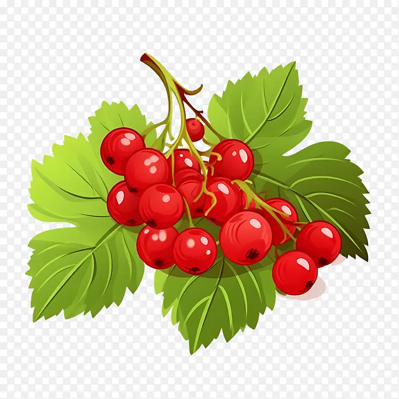 С��ݮ-С��ݮ���콬����ɫ����ˮ��ˮ��ͼ��-������