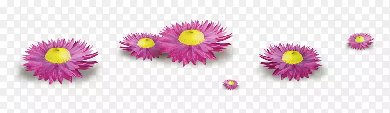 �����ʺ�����ӵ������-���޾�-������