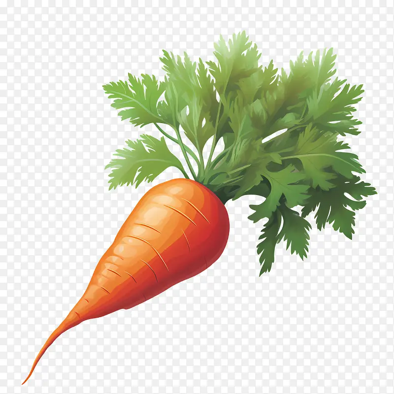 ���ܲ�-��ɫ-������