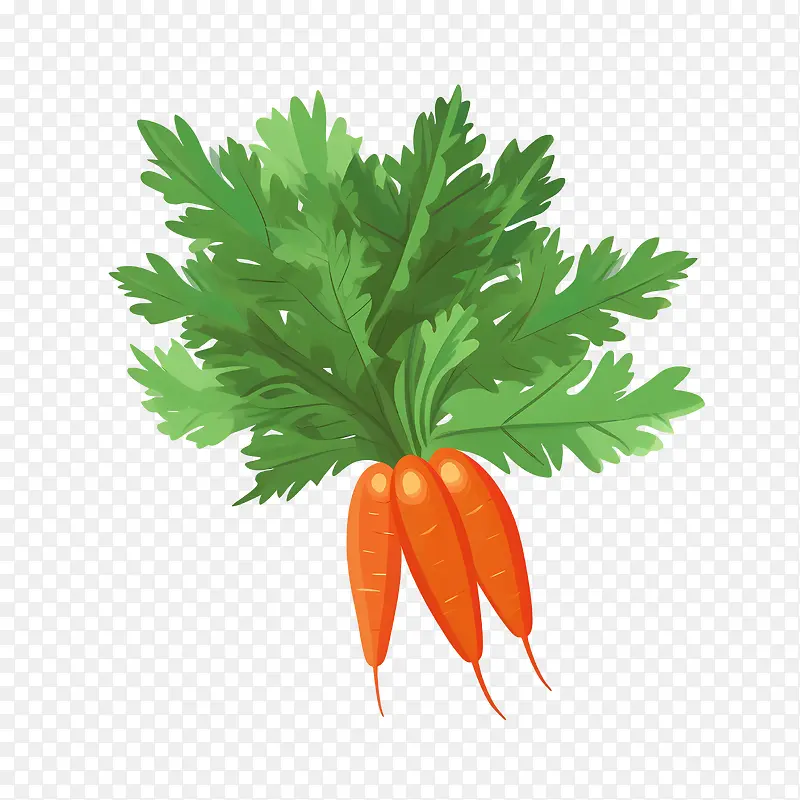 ���ܲ�-���ܲ����ܲ������߲˳�ɫ��Ҷ�߲�-������