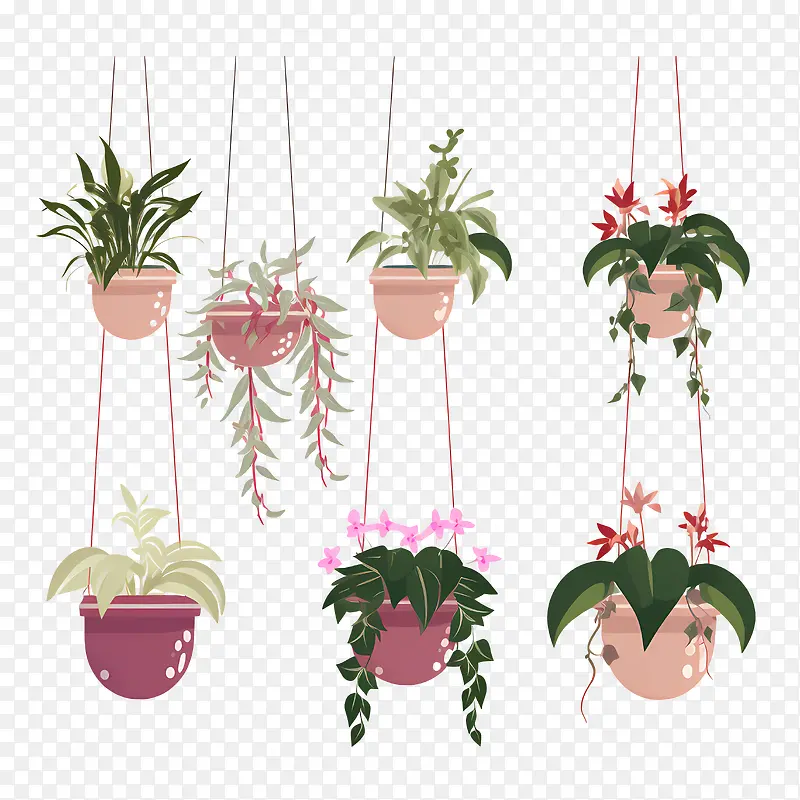 ���������ֲ��-���������ֲ����������ֲ��ֲ����ϵ����-������