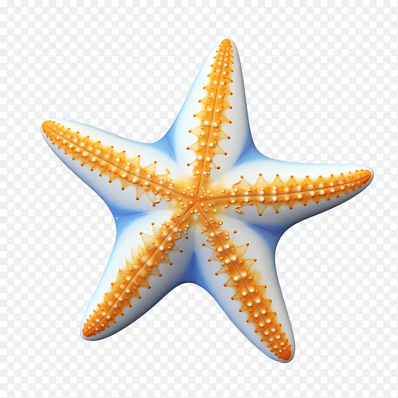 ����-��ɫ-������