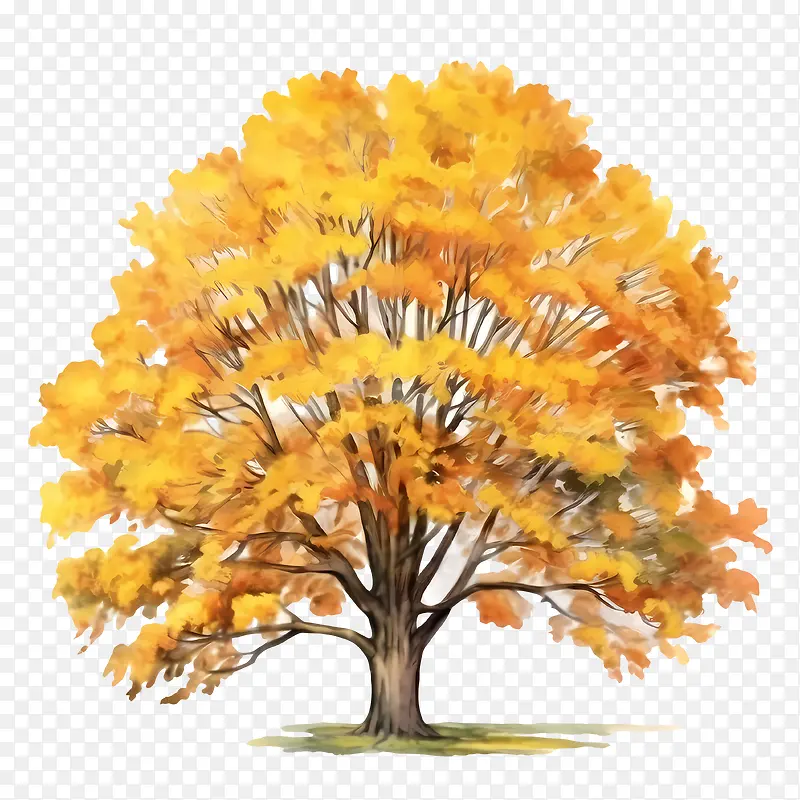 �������-�������-������