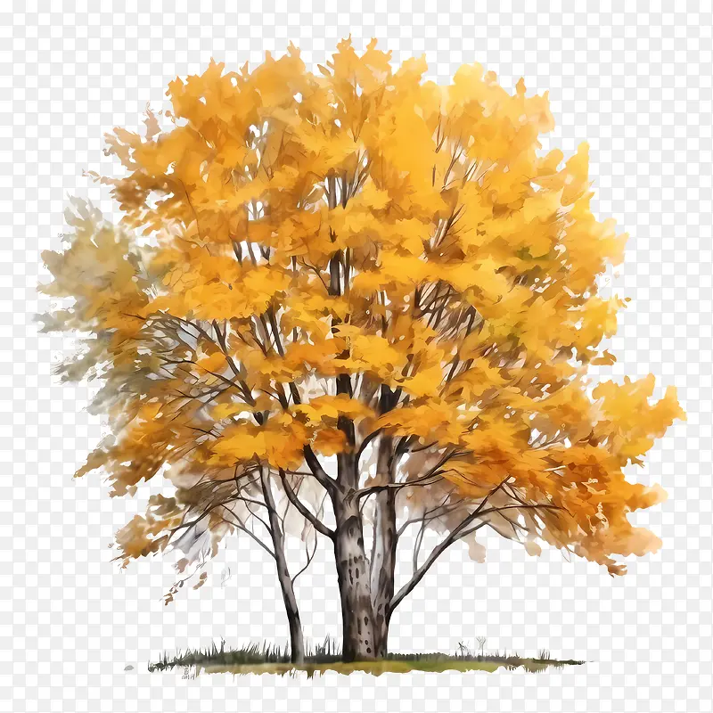 �������-�������-������