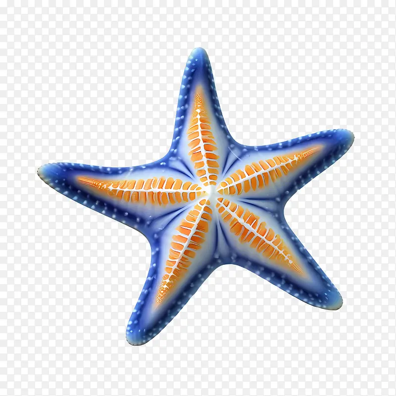 ����-��ɫ-������