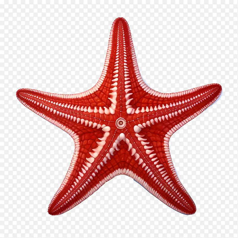 ����-���Ǻ�ɫ���Ǻ���������-������