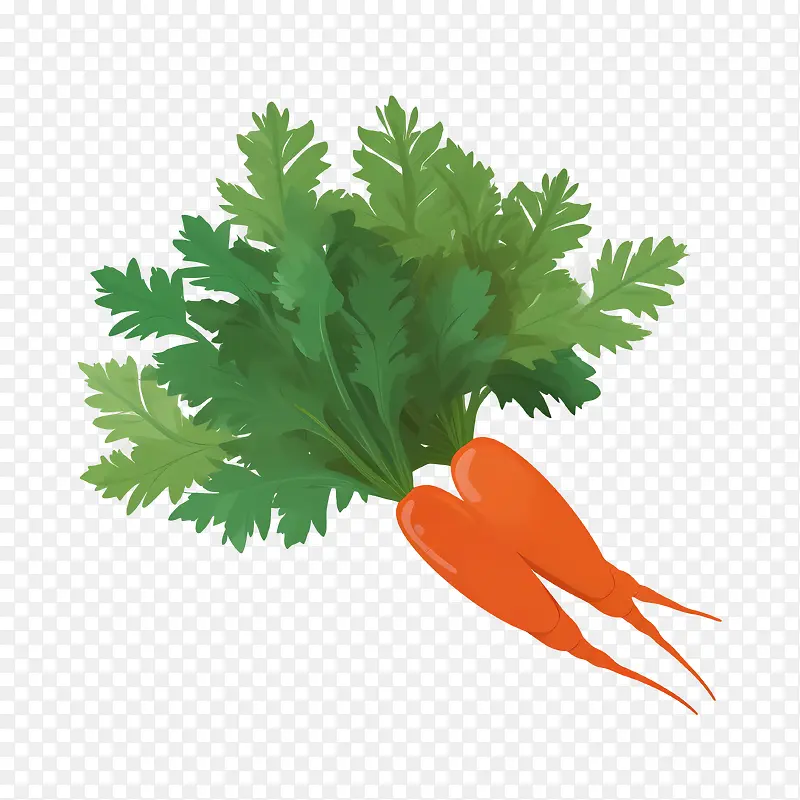 ���ܲ���������ʳƷ-������