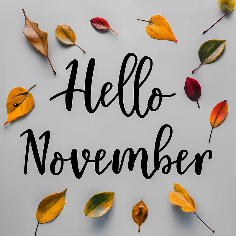 ʮһ����á����������Ҷ-������