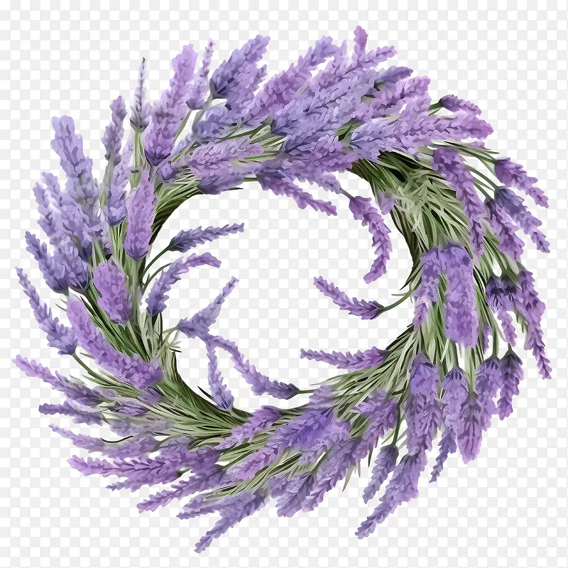 ޹�²ݻ���-�ʻ�����-������