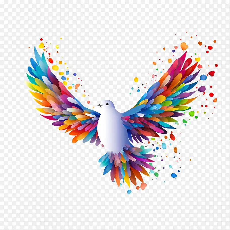 �����ƽ�ա�������-������