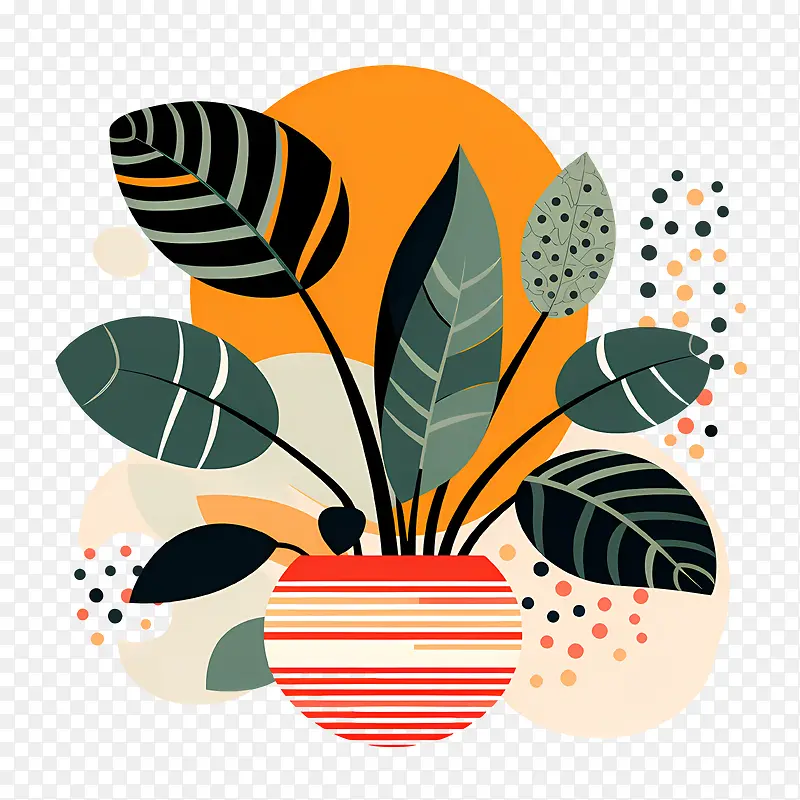 ����ֲ�������-��ɫ-������