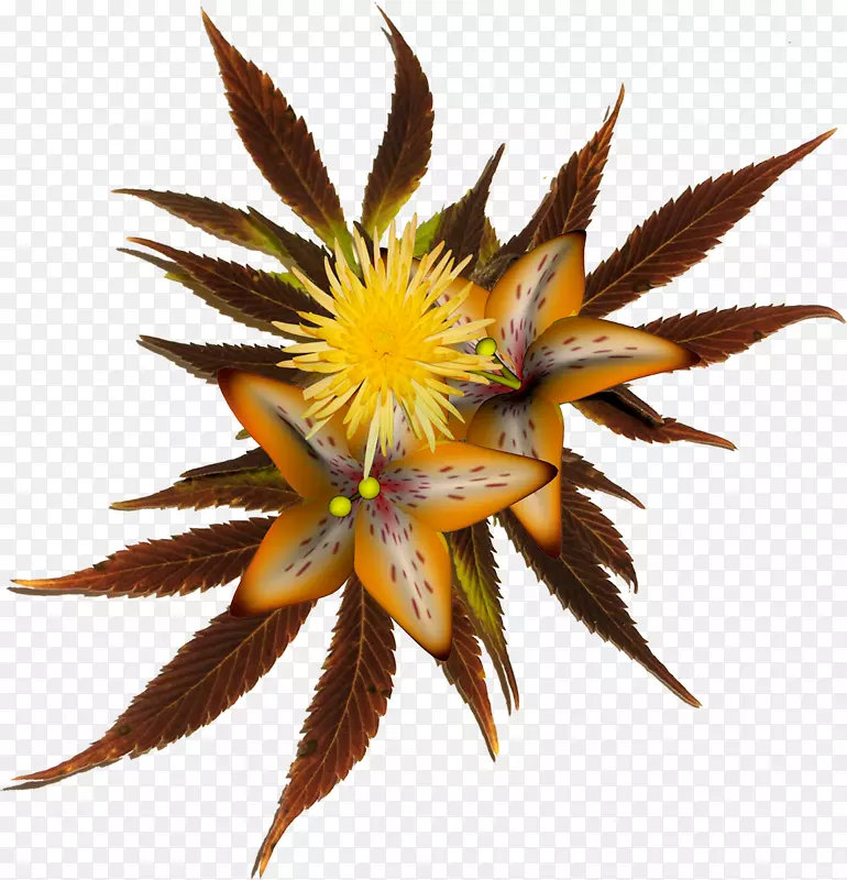 PlayStation�ܼ಩��-Ԫ��-������