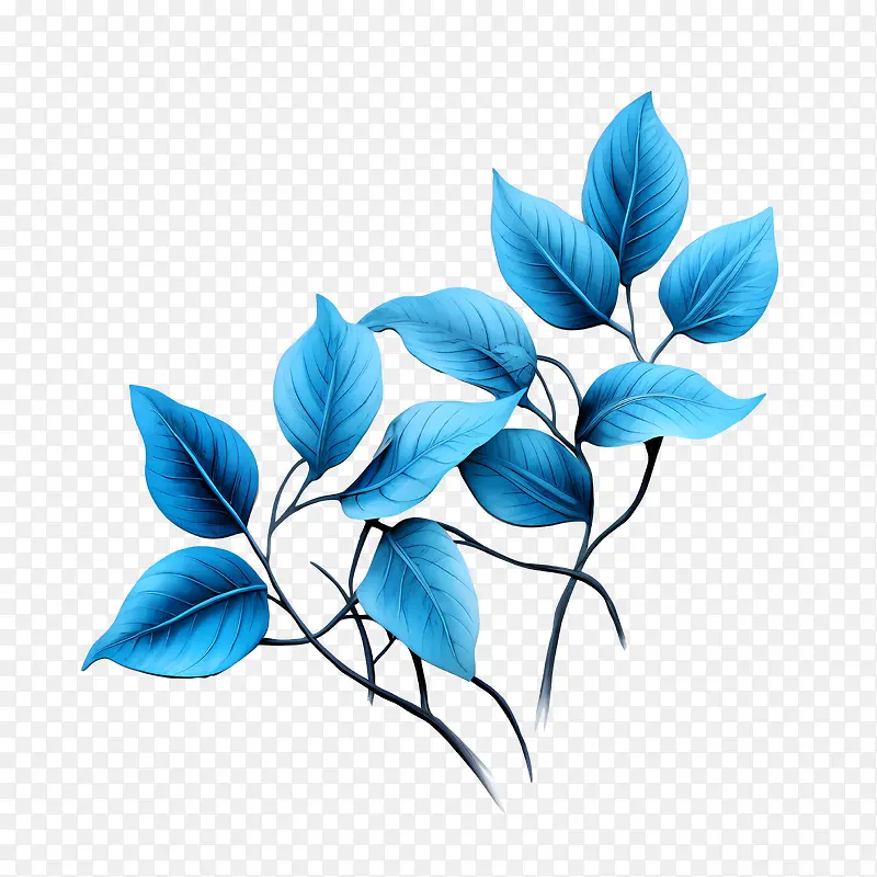 ��ɫ��Ҷ��-��ɫ��Ҷ����ɫ��Ҷ����ֲ֦������-������