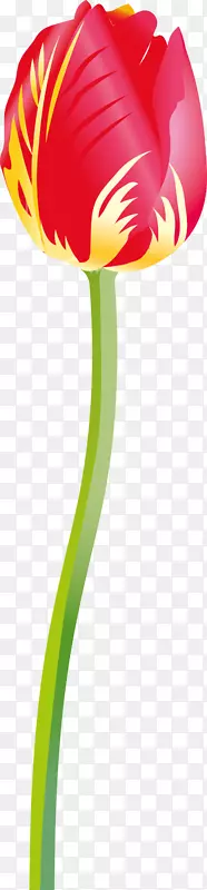 ����ֲ��-������-������