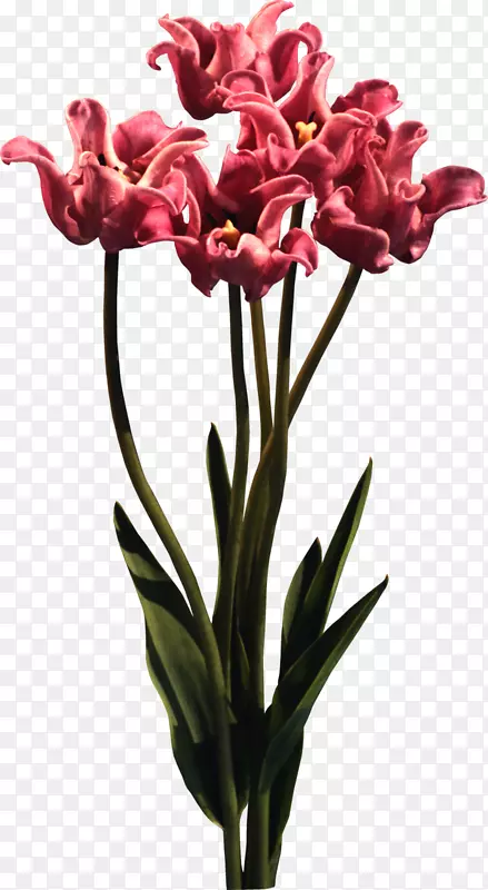 �������л�����-������