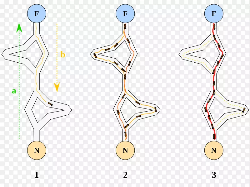 ��Ⱥ�Ż��㷨��ѧ�Ż�-������