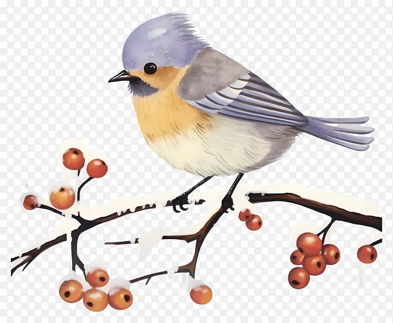 ��-��������֦��,�����к�ɫ����-������