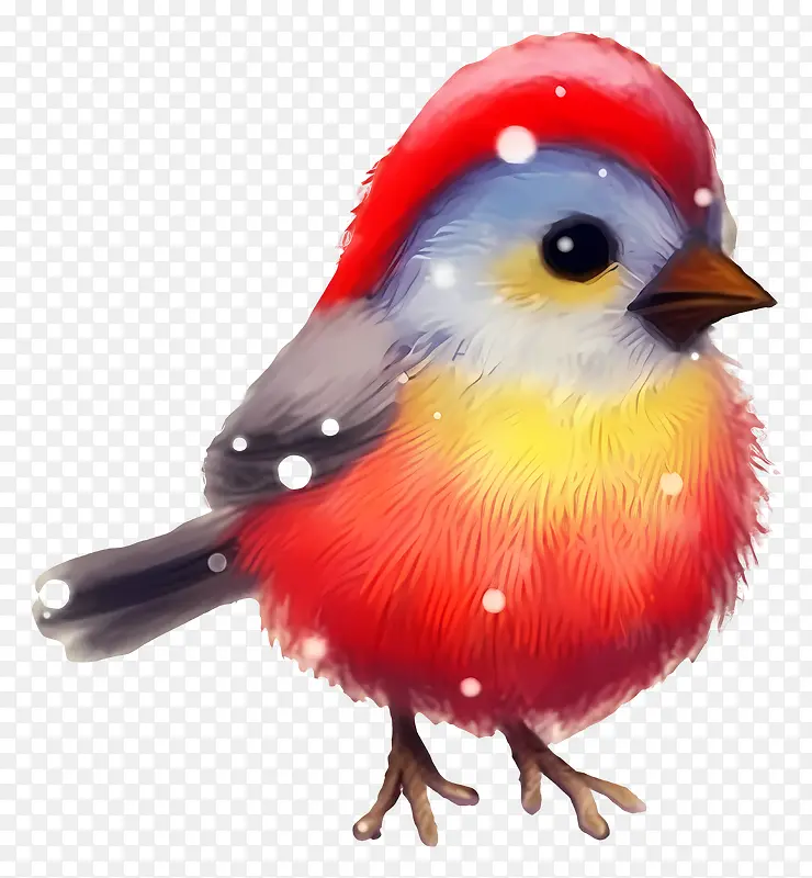 �ɰ�����-�ɰ�����,��������ɫ����ë,��ɫ�п�-������