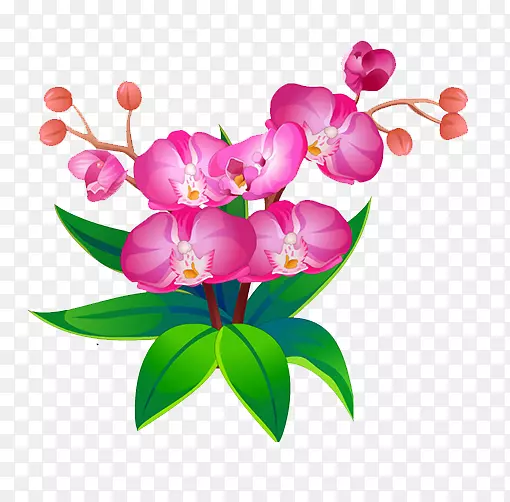 �ϻ���ޣ���ϻ���ޣֲ��-������