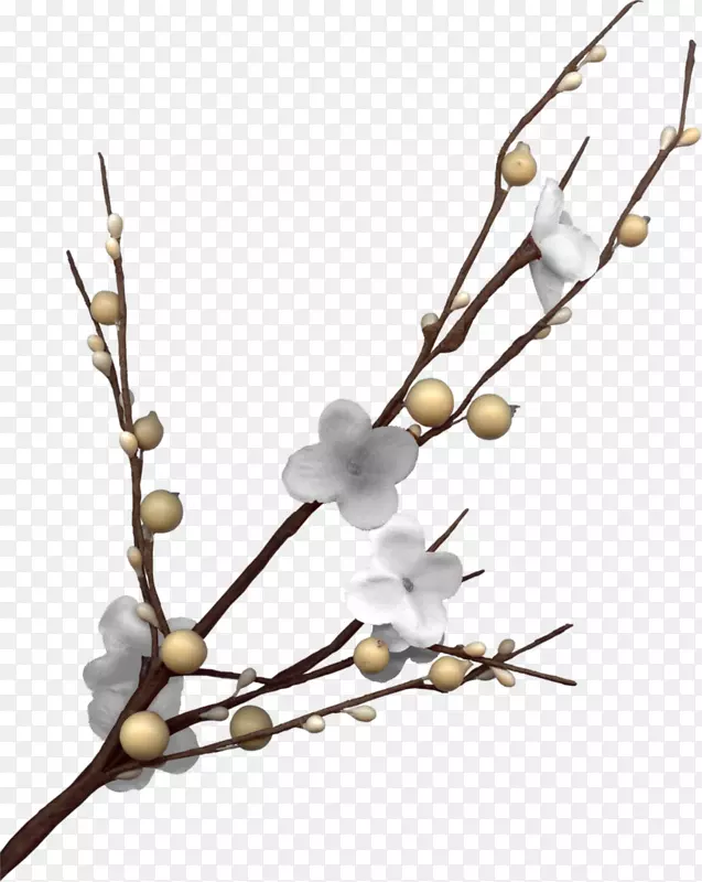 ���벩�͵���ͼ�������-����-������