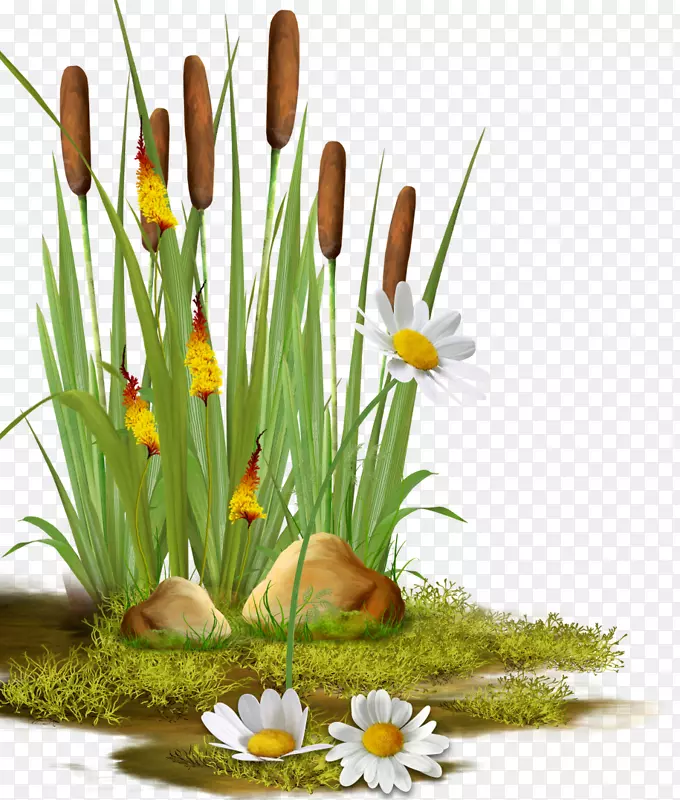 «έ��Ӱ������.��-������