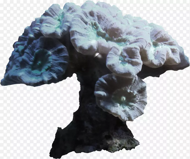 ��ҳ�����ʼ���������-����-������