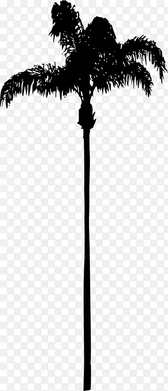 ���ƿ�ľ��ֲ��-�����-������