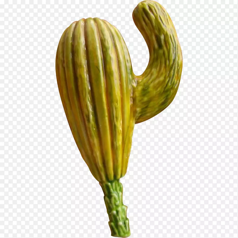 �߲˺�«�Ϲ�������-������