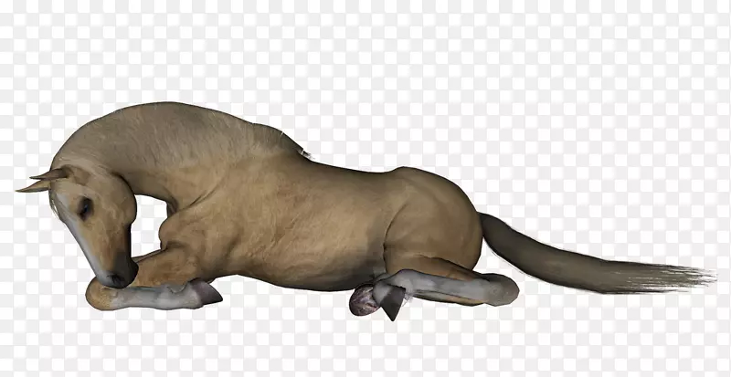 �������Ӿ�����.��ͷ����-������