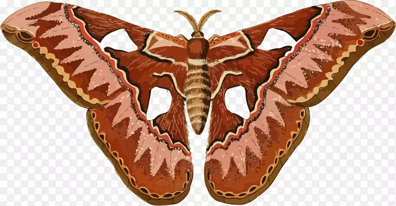 ������ϼ�����-����-������