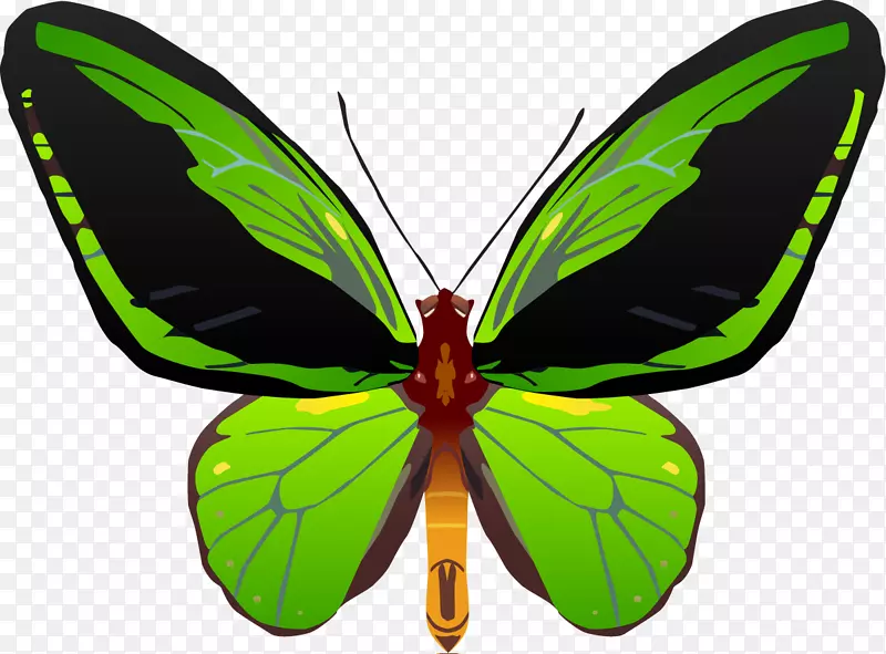 ��������Ů������ɽ���������������-����-������