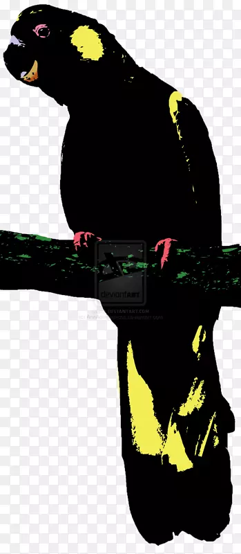 ���β�����ĺ�β�����������������-������