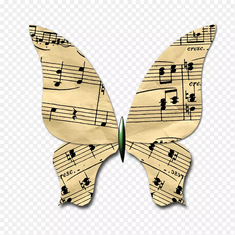 ���������������汨ֽ-������