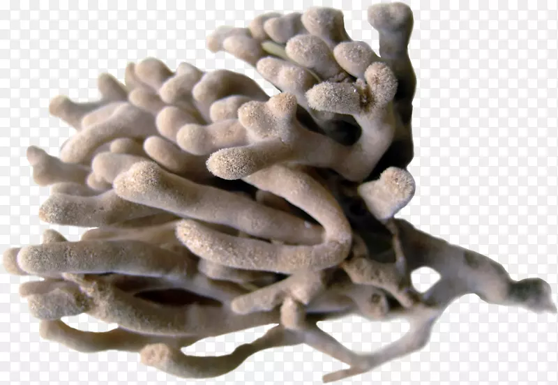 ɺ�����ؼ�������-��-������