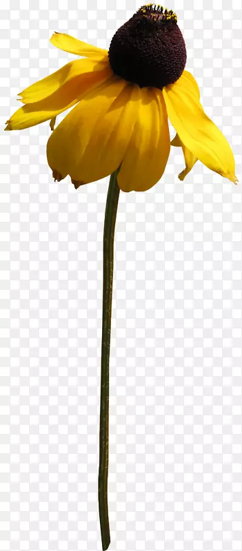 �ջ�-�ջ�-������