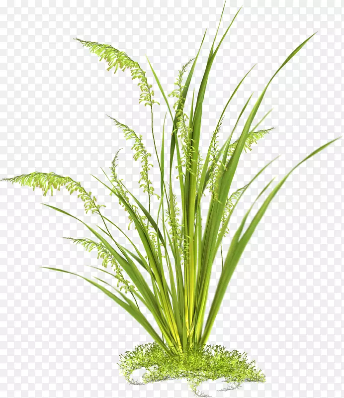 ��դͼ��ֲ������ݼ�����-������