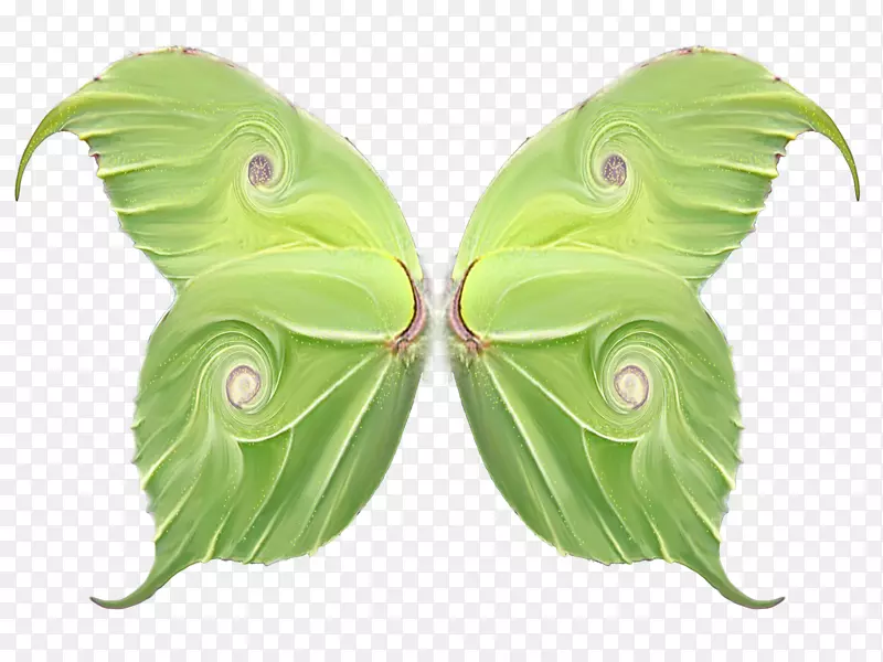 �������-������