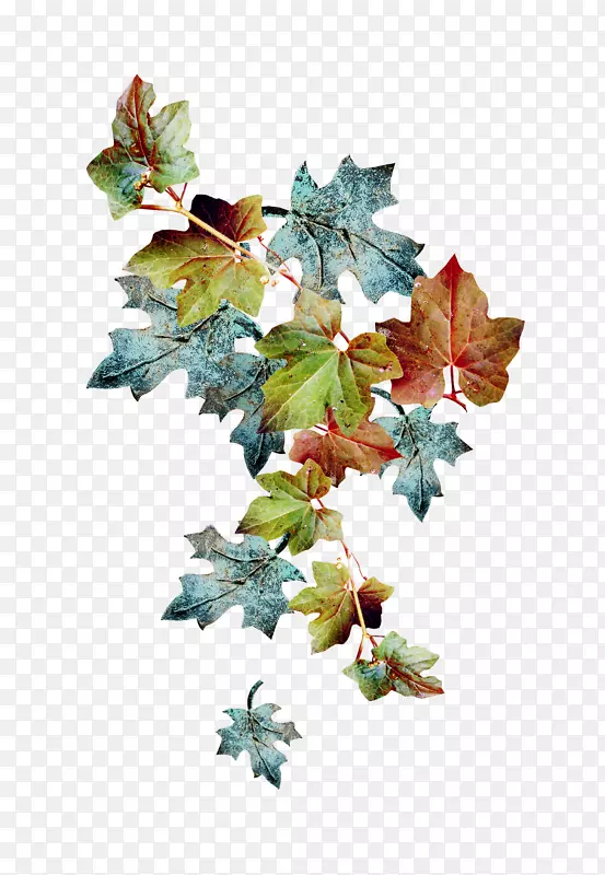 ʥ����װ��Ҷ֦-����-������