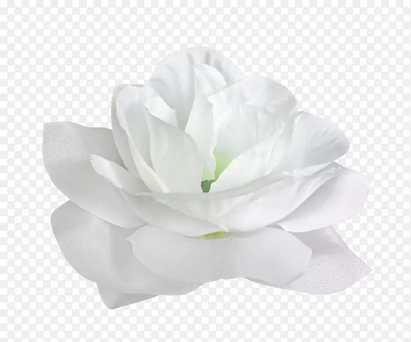 ���׻����õ��-������